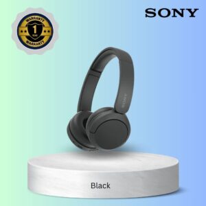 SONY WH-CH520